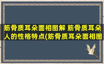 筋骨质耳朵面相图解 筋骨质耳朵人的性格特点(筋骨质耳朵面相图解及性格特点)